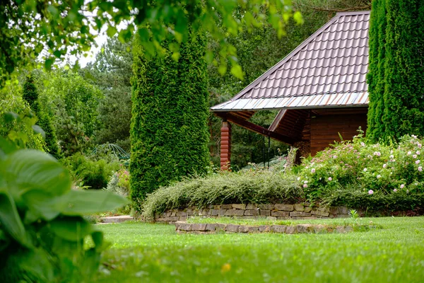 Summer Garden Different Plants — Stock Photo, Image