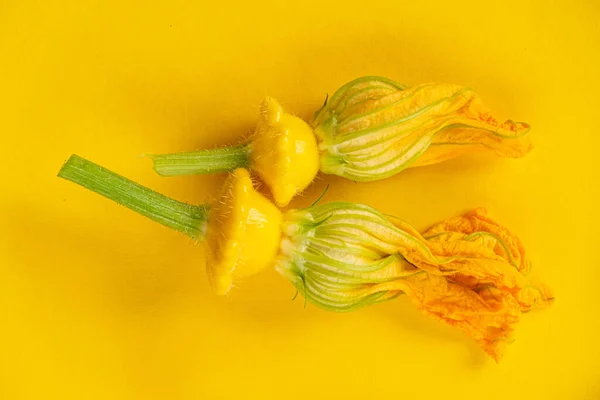 Verduras Amarillas Sobre Fondo Amarillo —  Fotos de Stock