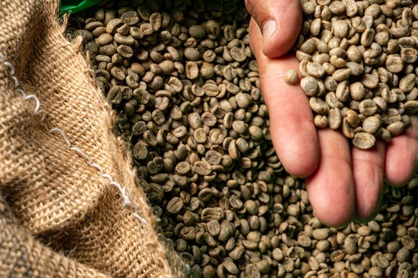 Green Unroasted Coffee Beans Closeup — Stock Photo, Image