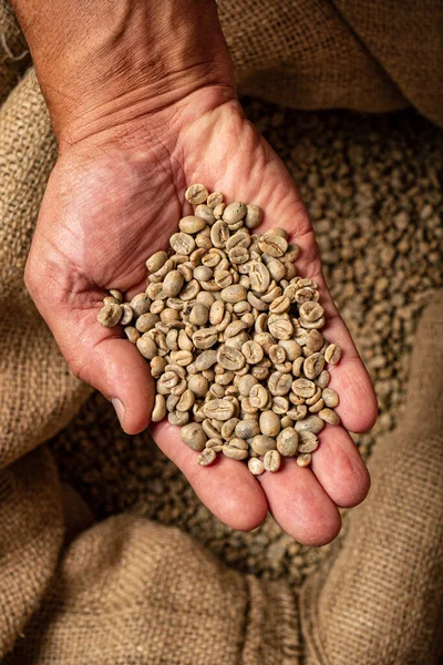 Green Unroasted Coffee Beans Closeup — Stock Photo, Image