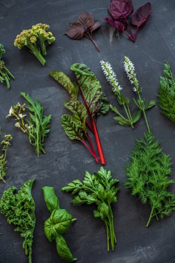 Karanlık arka planda yaz bitkileri ve çiçekler