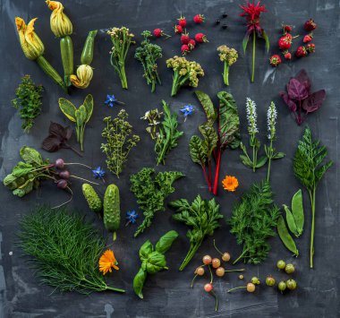 Karanlık arka planda yaz bitkileri ve çiçekler