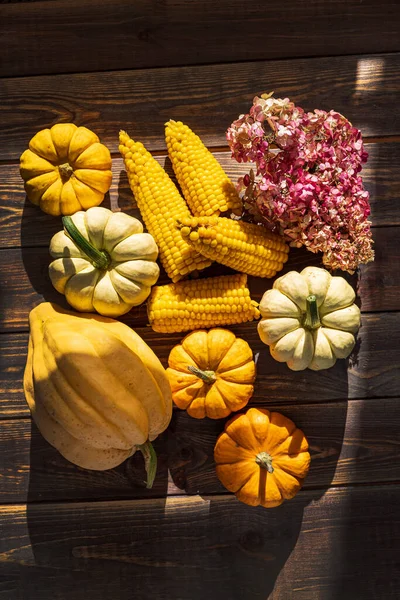 Pumpkins Dark Wooden Background Halloween Harvesting Thanksgiving Concept — Stock Photo, Image