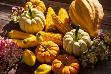 Koyu ahşap arka planda balkabakları. Cadılar Bayramı Şükran Günü konsepti hasat ediliyor