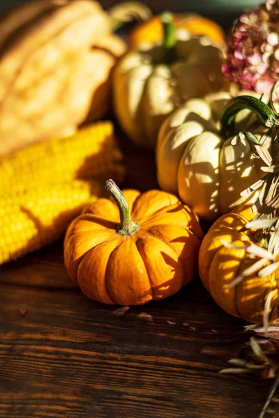 Pumpkins Dark Wooden Background Halloween Harvesting Thanksgiving Concept — Stock Photo, Image