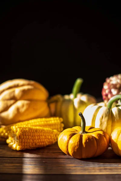 Citrouilles Sur Fond Bois Foncé Halloween Récolte Thanksgiving Concept — Photo