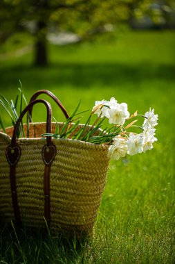 Güzel bir buket nergis ve narsis çiçeği.
