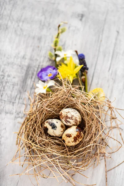 Påskbo Med Vårblommor — Stockfoto