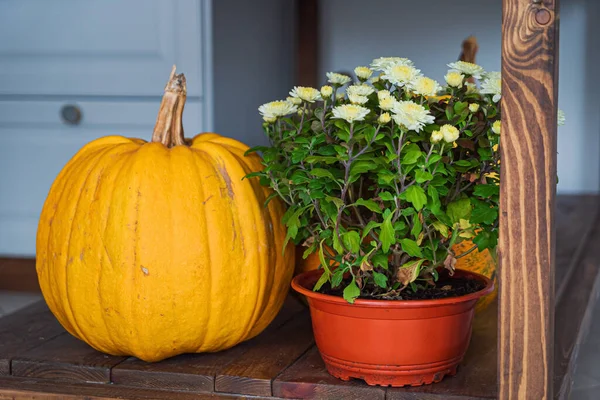 Erntedank Dekoration Minimal Herbstliche Raumdekoration Inspiriert — Stockfoto