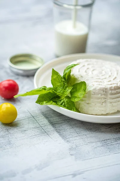 Čerstvá Ricotta Bazalkovým Listem Rajčaty — Stock fotografie