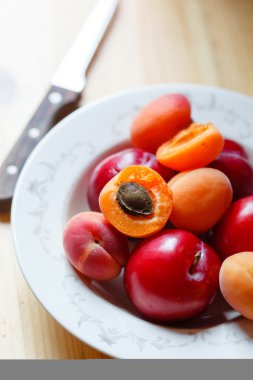 plaka üzerinde taze Erik