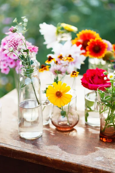 Bonitas flores — Foto de Stock