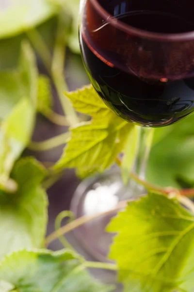 Rött vin i glas — Stockfoto