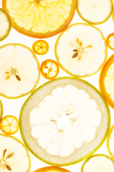 Citrus fruits background — Stock Photo, Image