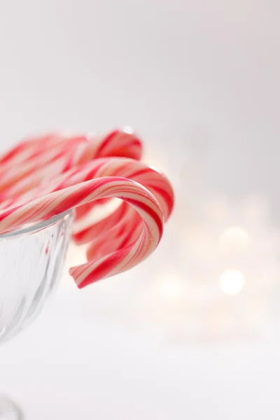 Zuckerstangen zu Weihnachten — Stockfoto