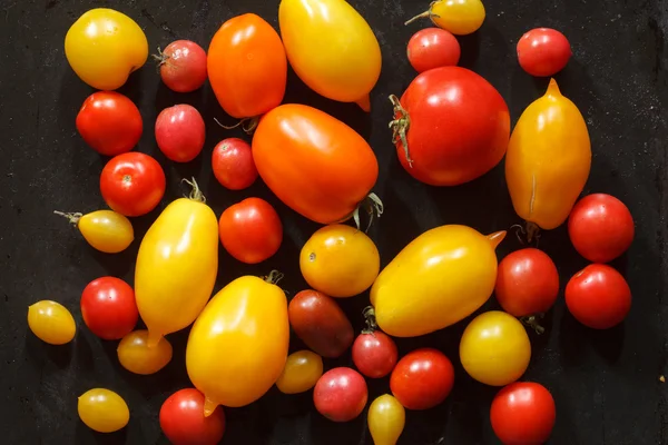 Tomat berwarna-warni — Stok Foto