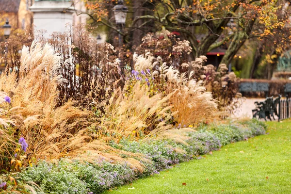 Parco autunnale — Foto Stock