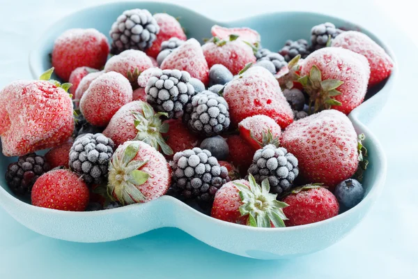 Замороженные ягоды — стоковое фото