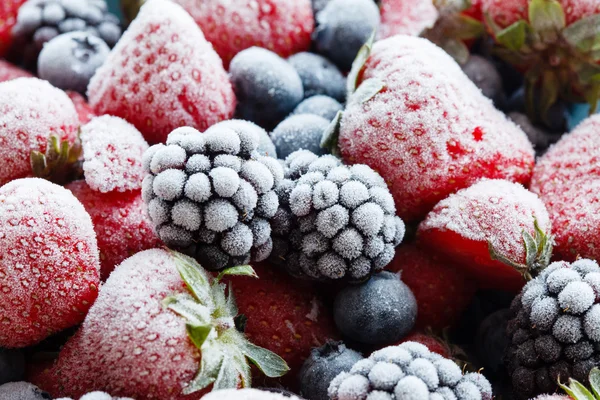 Gefrorene Beeren — Stockfoto