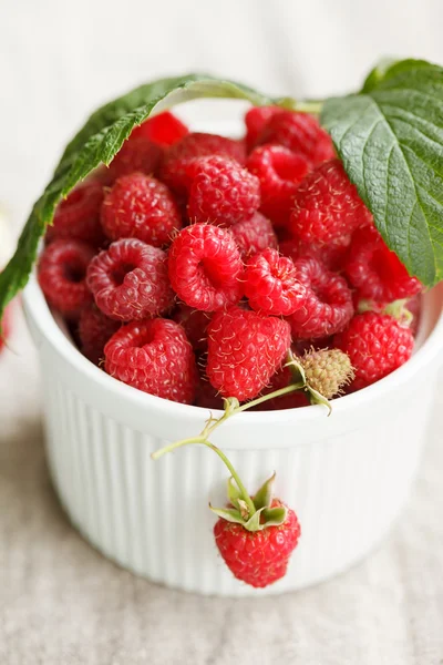 Fresh raspberries — Stock Photo, Image