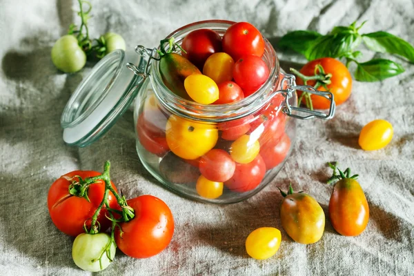 Colorful tomatoes — Stock Photo, Image