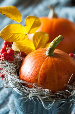 sonbahar dekorasyonu