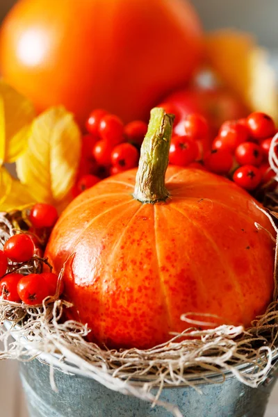 sonbahar dekorasyonu