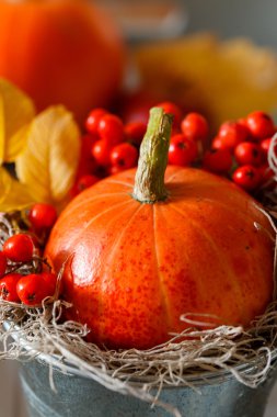 sonbahar dekorasyonu