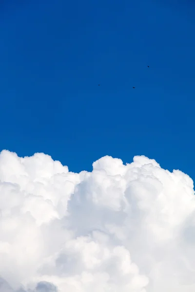 Blå himmel med skyer – stockfoto