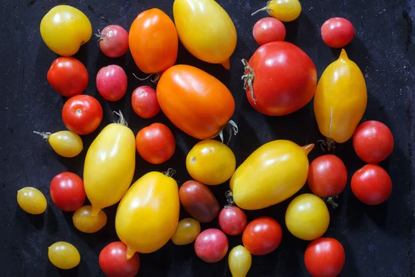 Bunte Tomaten — Stockfoto