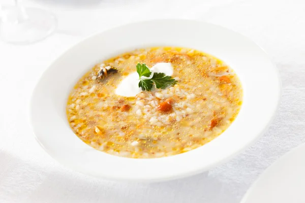 Barley soup — Stock Image Barley soup Stock Picture