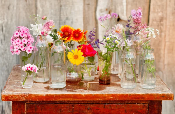 Schöne Blumen — Stockfoto