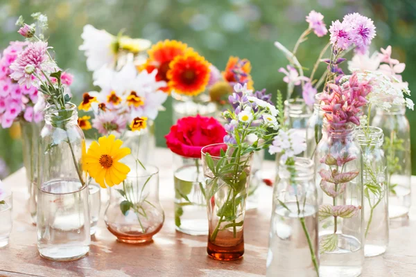 Blommor i flaskorna — Stockfoto