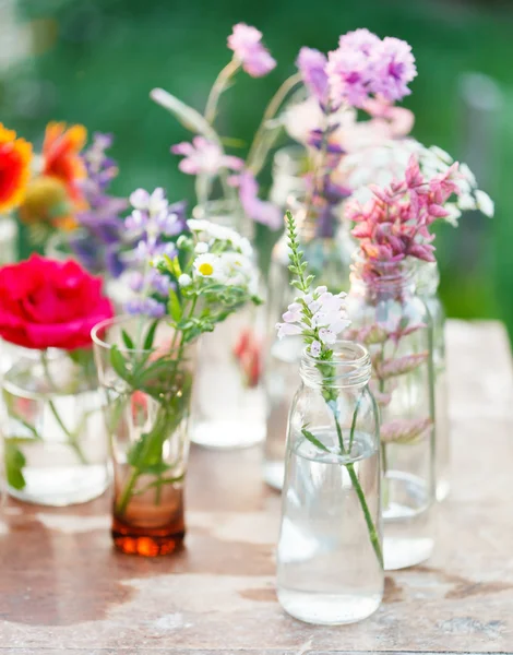 Bloemen in de flessen — Stockfoto