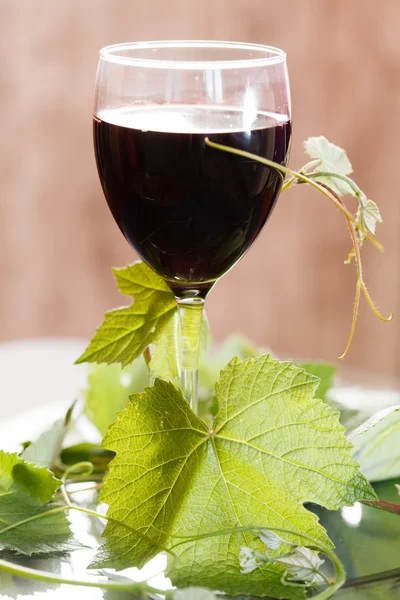 Red wine in glass — Stock Photo, Image