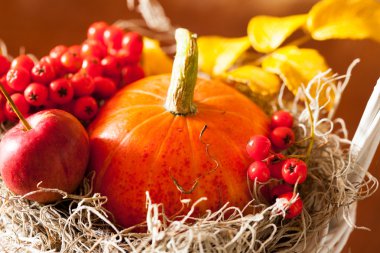 sonbahar dekorasyonu