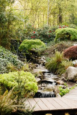 Ormandaki su kaynağı