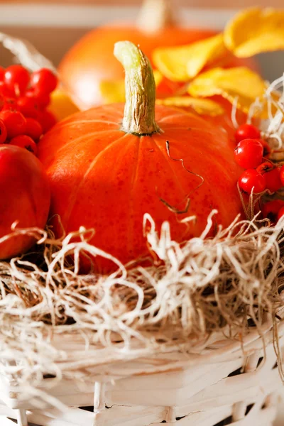 Herfst decoratie — Stockfoto