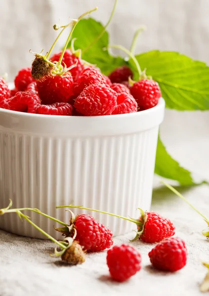 Frische Himbeeren — Stockfoto