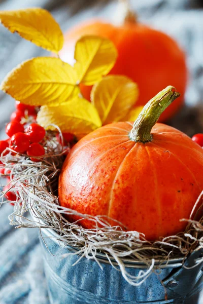 Podzimní dekorace — Stock fotografie