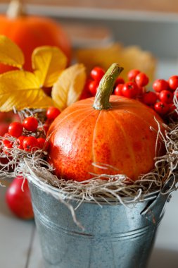 sonbahar dekorasyonu