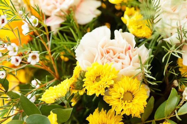 Mooie bloemen — Stockfoto