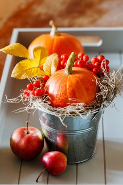 sonbahar dekorasyonu