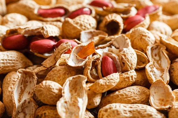 Peanuts as background — Stock Photo, Image