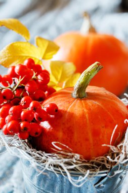 sonbahar dekorasyonu