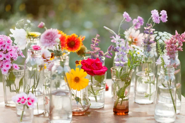 Blommor i flaskorna — Stockfoto