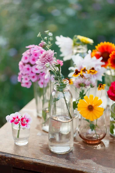 Blumen in den Flaschen — Stockfoto