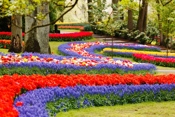 Jardim de primavera — Fotografia de Stock