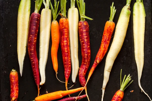 Colorful carrots — Stock Photo, Image