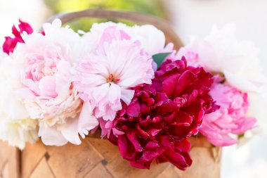 sepet içinde şakayık